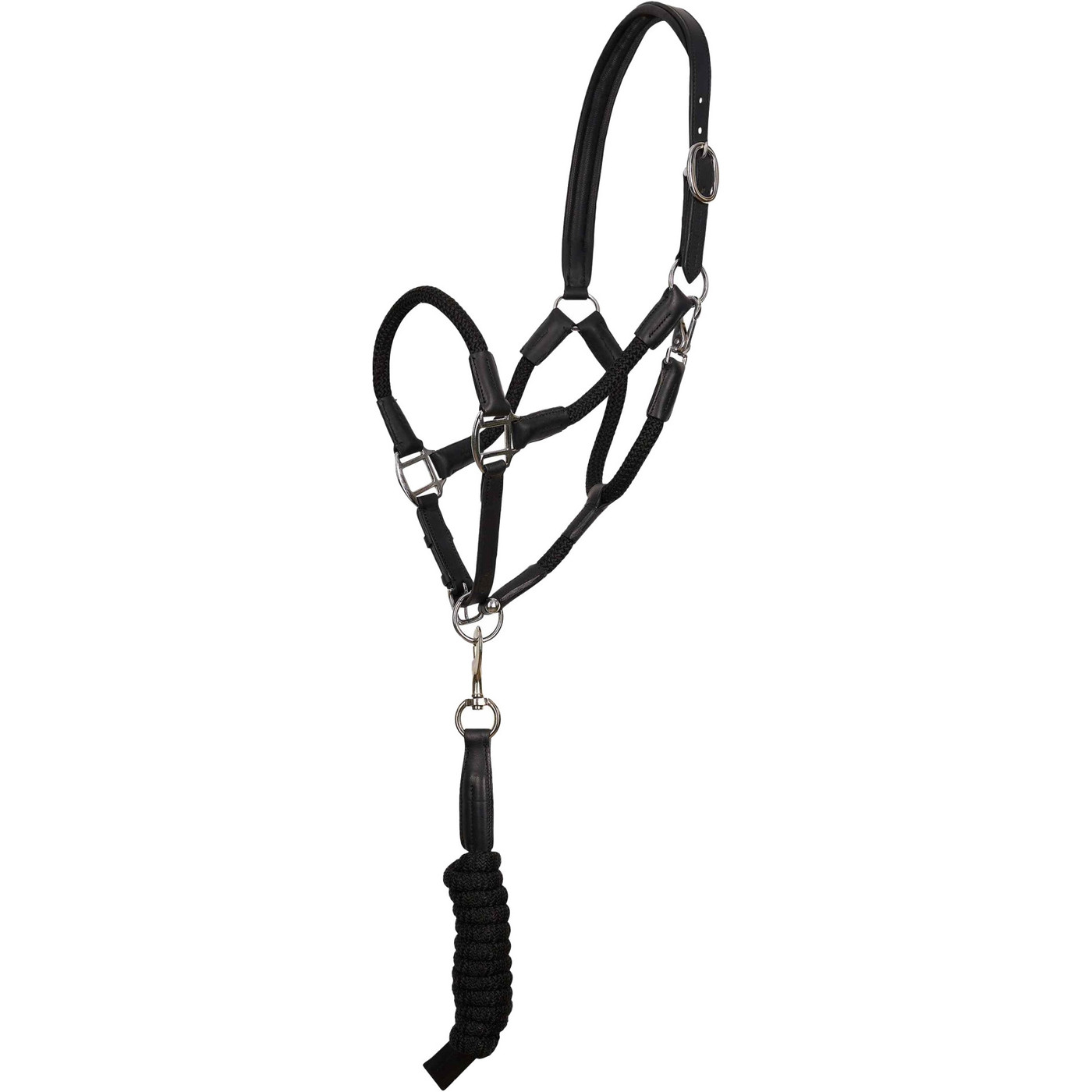2023 HV Polo Franka Headcollar 1601093453 Black Horse Saddlery